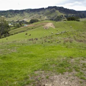 611-AY43632-Rodney-District