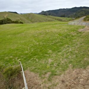 909-AY43642-Rodney-District